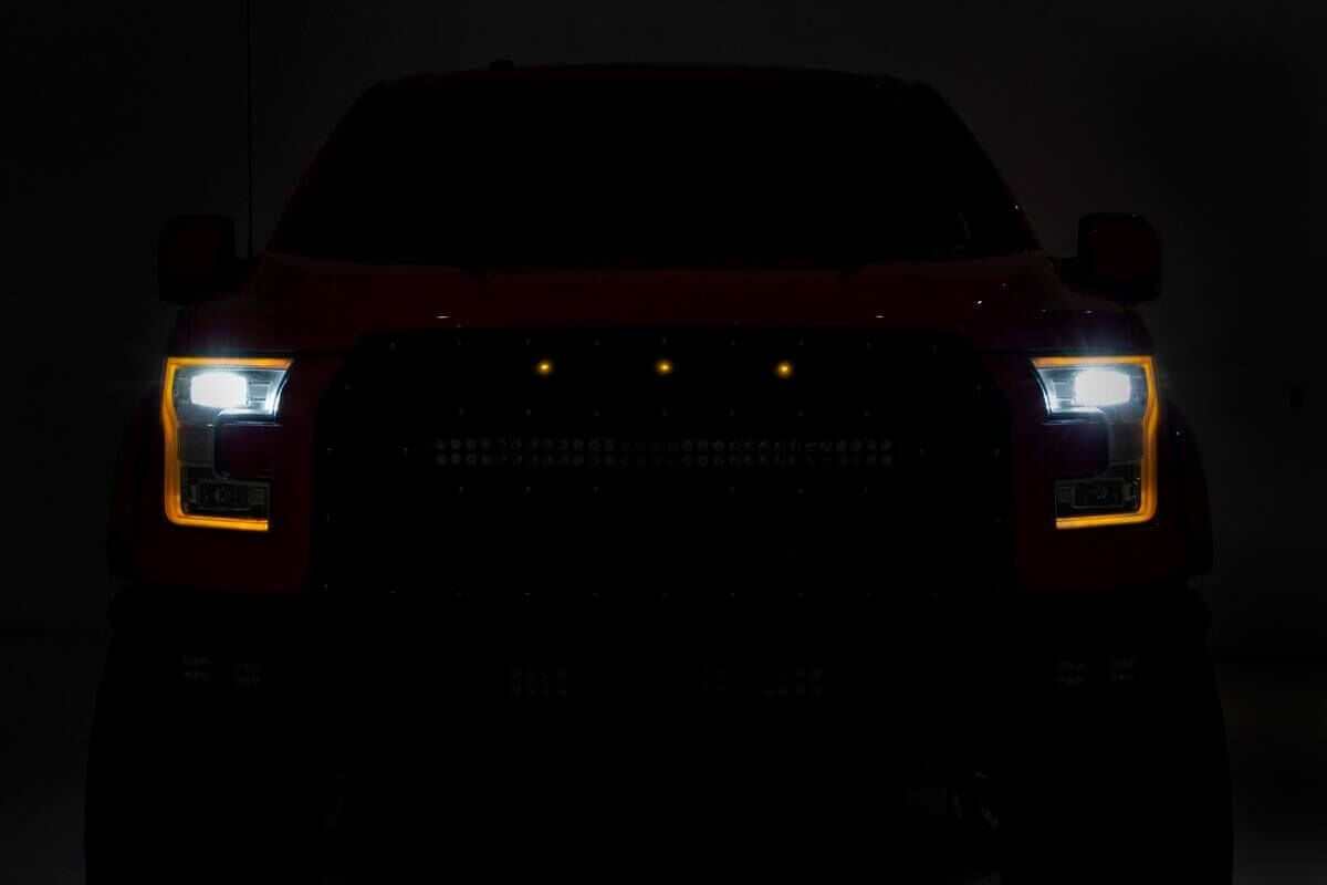 Rough Country  |Mesh Grill Mount | Amber Marker | Ford F-150 (15-17)